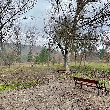 Casa Pyrene - Acogedor Apartamento Familiar Sabiñánigo